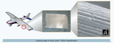 Microscopic Surface of a Wing