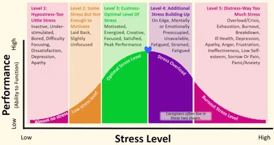 Instrument Flying Handbook, Performance and Stress