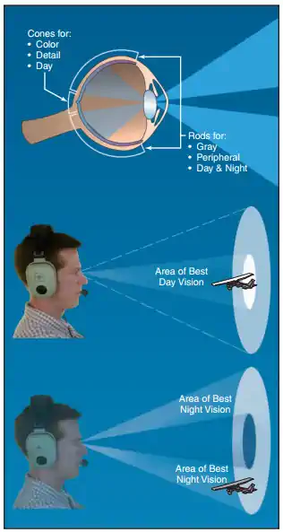 Rods and cones in the eye that support central, color, peripheral, and night vision.
