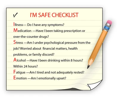Prior to flight, pilots may use a checklist to assess their fitness, just as they evaluate the aircraft's airworthiness.