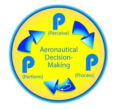 3P Model (Perceive, Process, and Perform).
