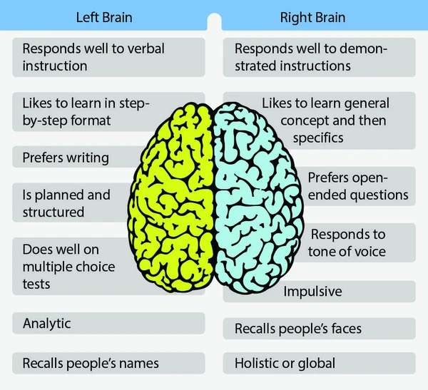 The importance of recognizing a dominant brain hemisphere gives the instructor a guide for ways to teach and reinforce learning.