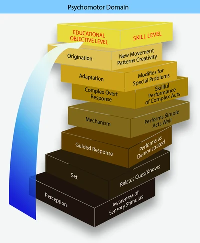 The psychomotor domain (physical skills) consists of seven educational objective levels.