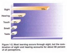 Fundamentals of Instructing Senses