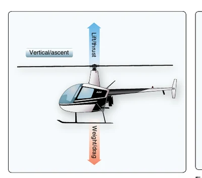 Balanced forces while hovering in a no-wind condition.