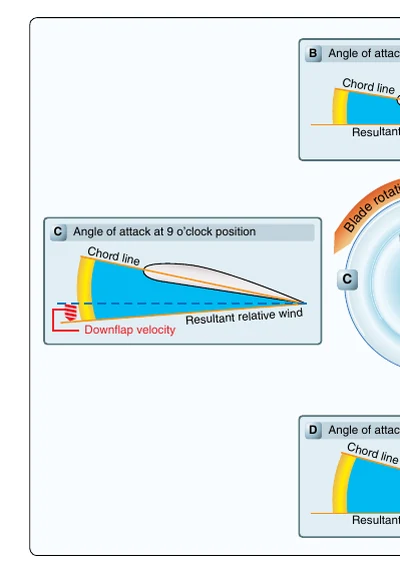 Blade flapping counteracts dissymmetry of lift.