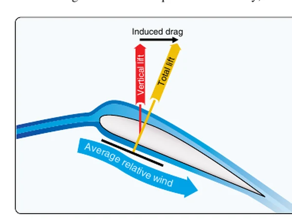 Induced drag forms as the airstream is deflected downward near the rotor blade.