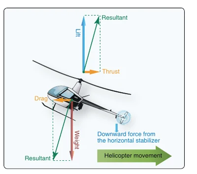 Forces during rearward flight.