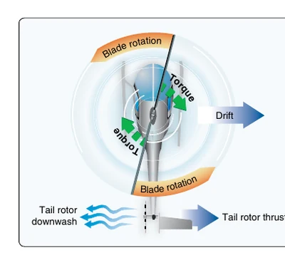 Tail rotor thrust opposes torque.