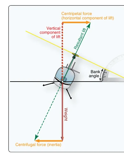 Forces during turning flight.