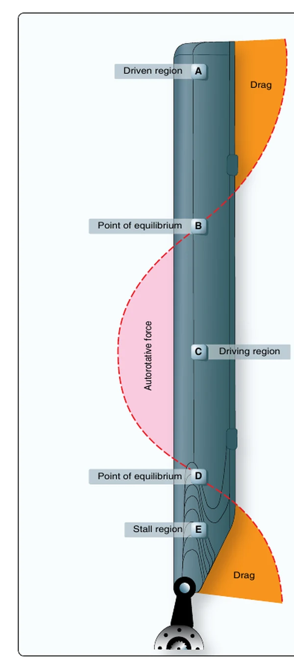 Force vectors in vertical autorotation descent.