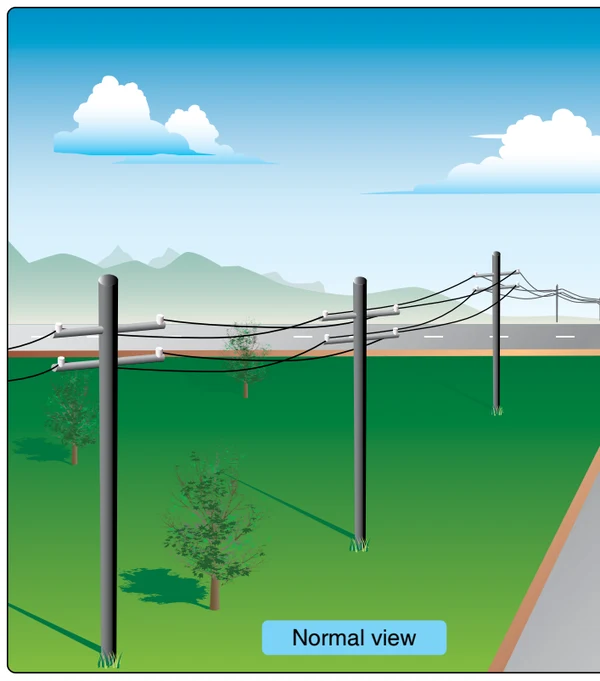 Example of a view that might be experienced by someone with astigmatism.