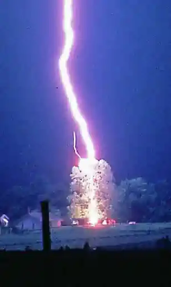 Lightning Strikes Tree