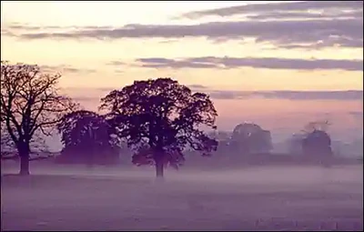 Radiation (Ground Fog)