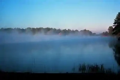 Steam Fog