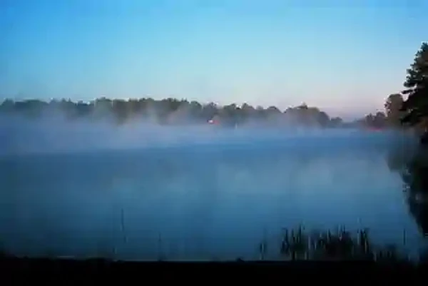 Steam Fog